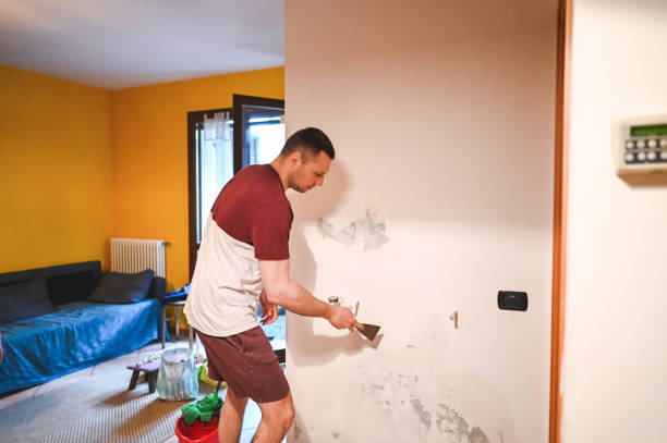 Best Home Mold Removal  in Sunbury, OH